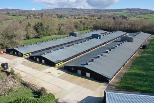 Poultry Services 