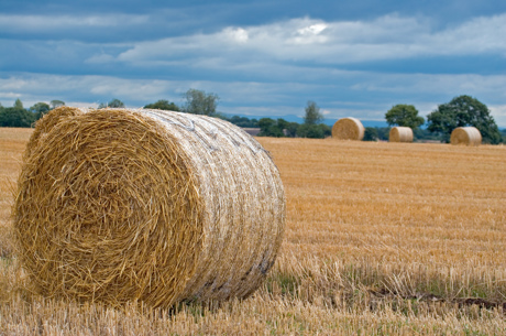 Straw Bale